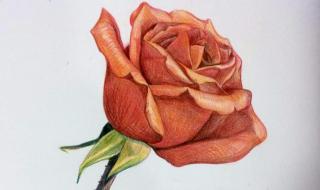 手绘入门基础教程 手绘入门基础教程