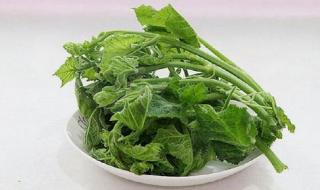 立秋必吃的9种食物 立秋必吃的9种食物